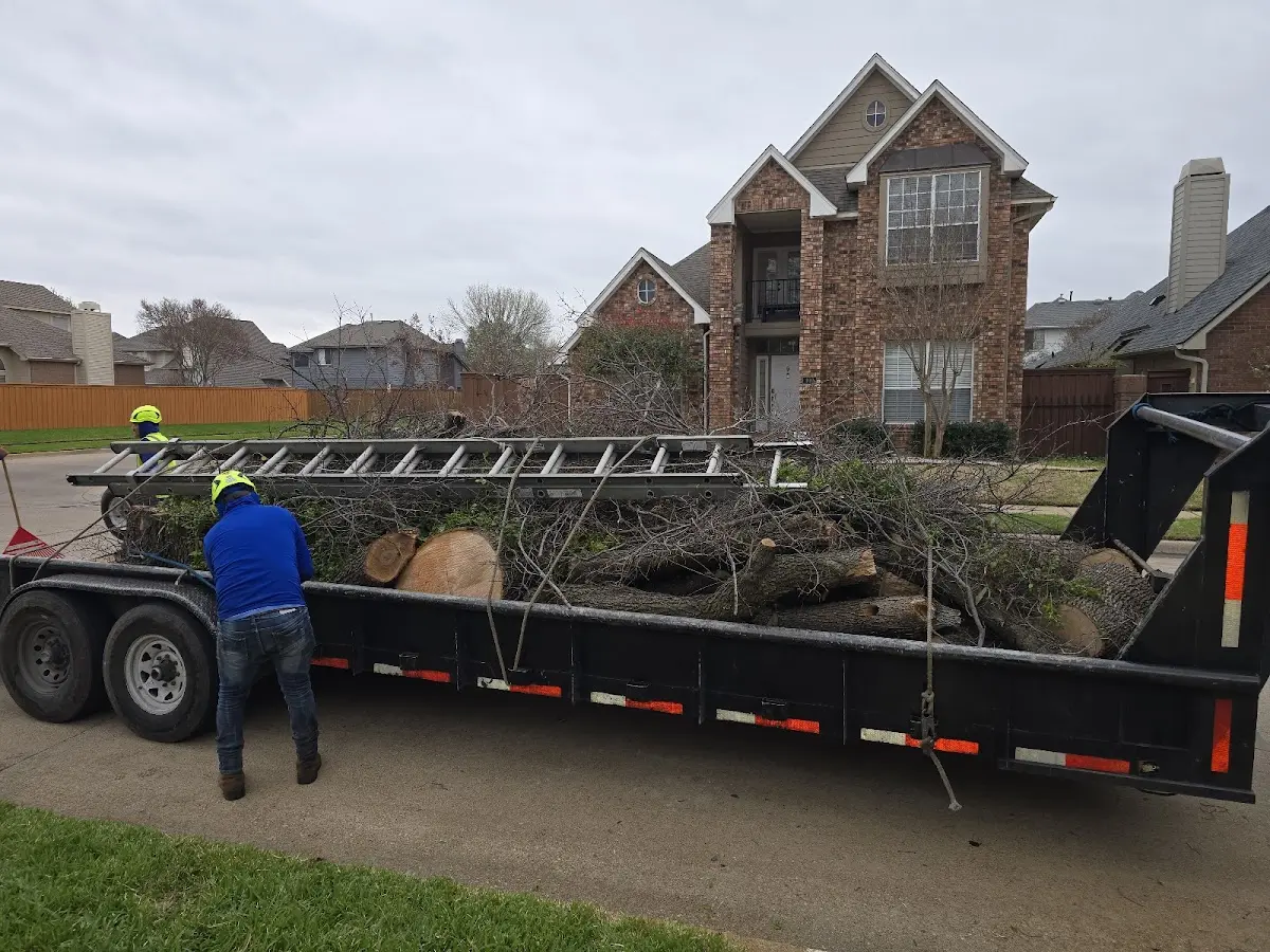 Expert Tree Removal with proper safety equipment in Epps